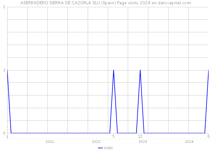 ASERRADERO SIERRA DE CAZORLA SLU (Spain) Page visits 2024 