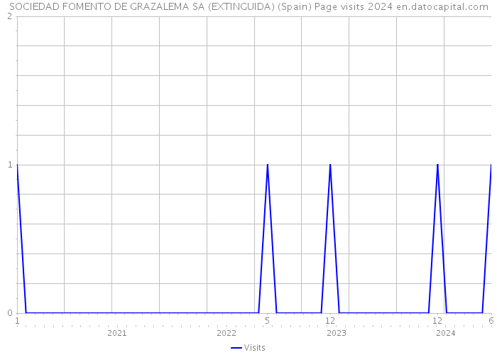 SOCIEDAD FOMENTO DE GRAZALEMA SA (EXTINGUIDA) (Spain) Page visits 2024 