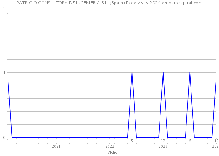 PATRICIO CONSULTORA DE INGENIERIA S.L. (Spain) Page visits 2024 