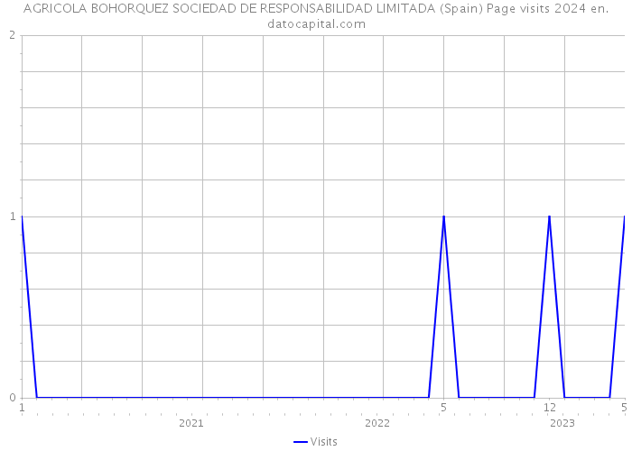 AGRICOLA BOHORQUEZ SOCIEDAD DE RESPONSABILIDAD LIMITADA (Spain) Page visits 2024 