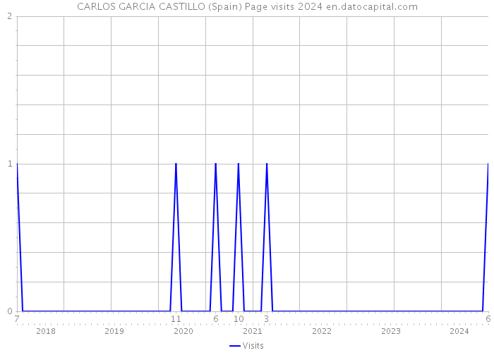 CARLOS GARCIA CASTILLO (Spain) Page visits 2024 