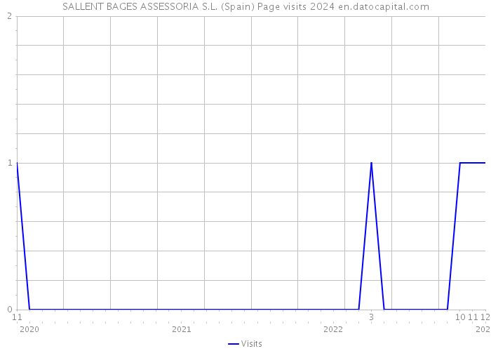 SALLENT BAGES ASSESSORIA S.L. (Spain) Page visits 2024 
