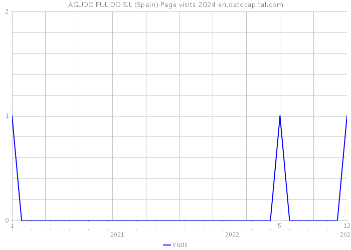 AGUDO PULIDO S.L (Spain) Page visits 2024 