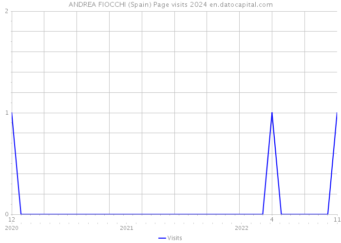 ANDREA FIOCCHI (Spain) Page visits 2024 