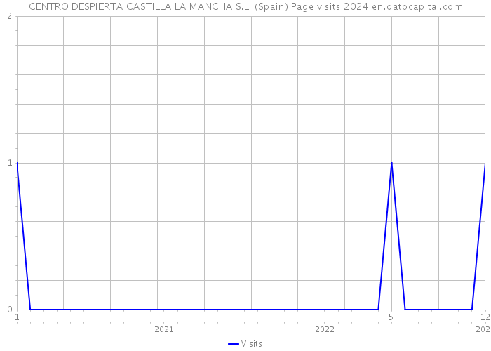 CENTRO DESPIERTA CASTILLA LA MANCHA S.L. (Spain) Page visits 2024 