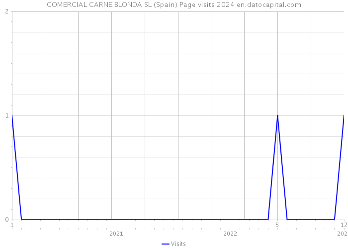 COMERCIAL CARNE BLONDA SL (Spain) Page visits 2024 