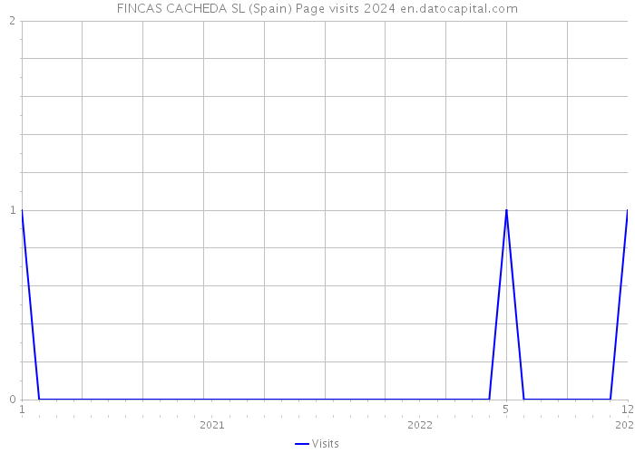 FINCAS CACHEDA SL (Spain) Page visits 2024 