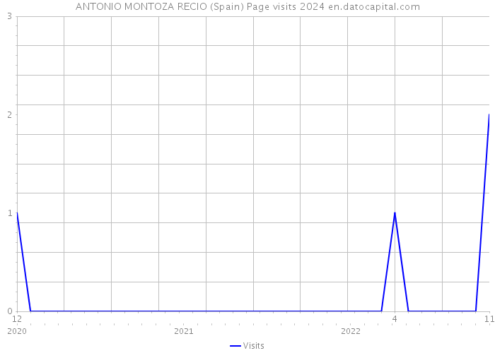 ANTONIO MONTOZA RECIO (Spain) Page visits 2024 