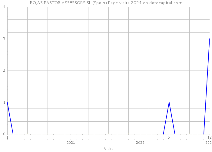 ROJAS PASTOR ASSESSORS SL (Spain) Page visits 2024 