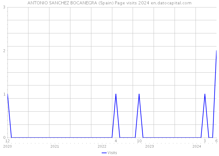 ANTONIO SANCHEZ BOCANEGRA (Spain) Page visits 2024 