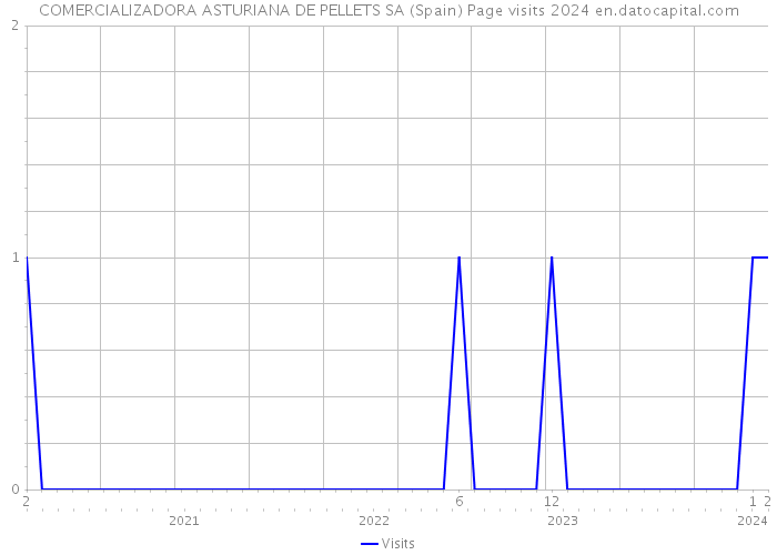 COMERCIALIZADORA ASTURIANA DE PELLETS SA (Spain) Page visits 2024 