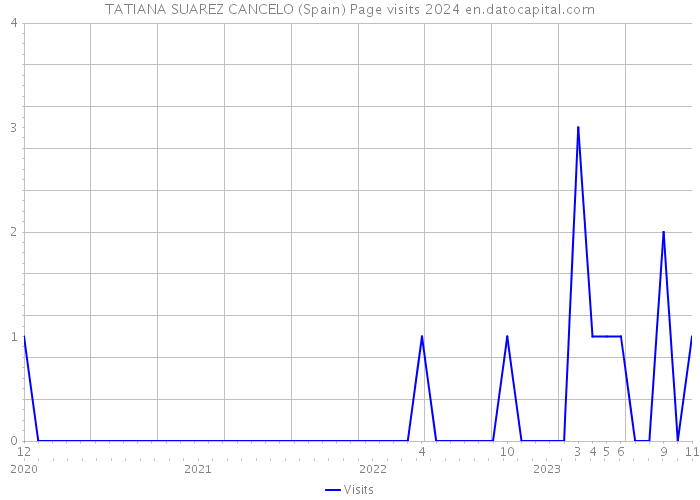 TATIANA SUAREZ CANCELO (Spain) Page visits 2024 