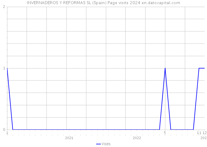 INVERNADEROS Y REFORMAS SL (Spain) Page visits 2024 