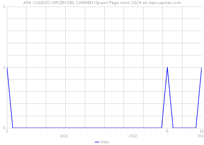 APA COLEGIO VIRGEN DEL CARMEN (Spain) Page visits 2024 