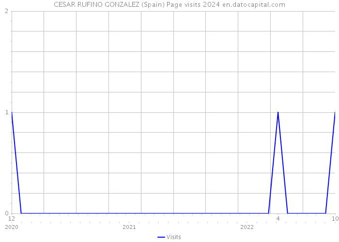 CESAR RUFINO GONZALEZ (Spain) Page visits 2024 