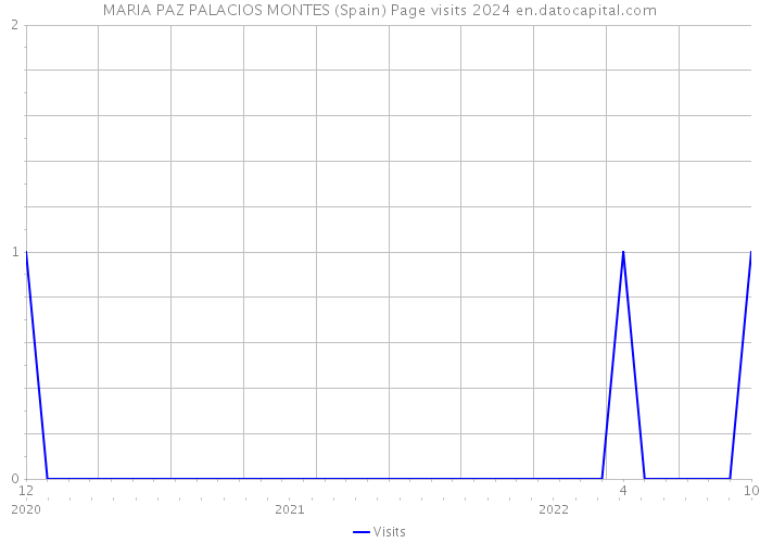 MARIA PAZ PALACIOS MONTES (Spain) Page visits 2024 
