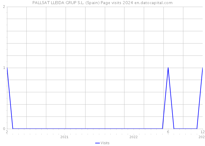 PALLSAT LLEIDA GRUP S.L. (Spain) Page visits 2024 