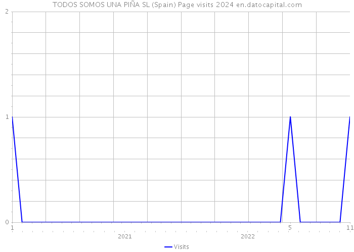 TODOS SOMOS UNA PIÑA SL (Spain) Page visits 2024 