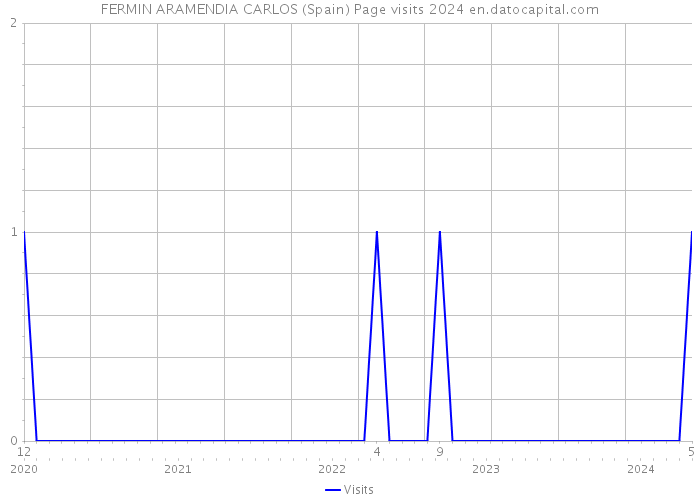 FERMIN ARAMENDIA CARLOS (Spain) Page visits 2024 