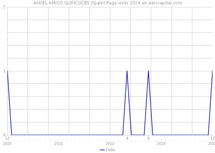 ANGEL AMIGO QUINCOCES (Spain) Page visits 2024 