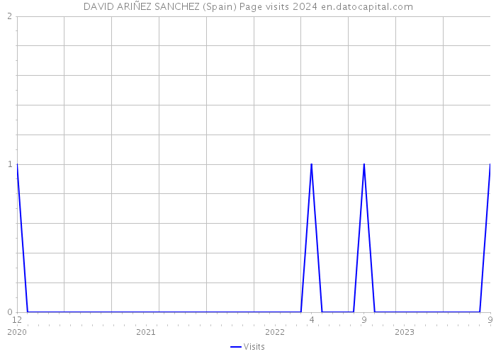 DAVID ARIÑEZ SANCHEZ (Spain) Page visits 2024 