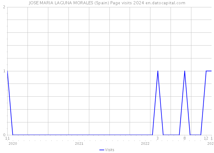 JOSE MARIA LAGUNA MORALES (Spain) Page visits 2024 