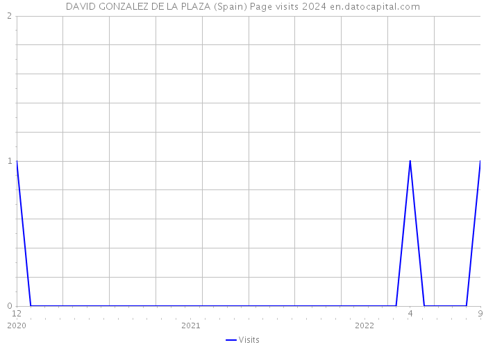DAVID GONZALEZ DE LA PLAZA (Spain) Page visits 2024 