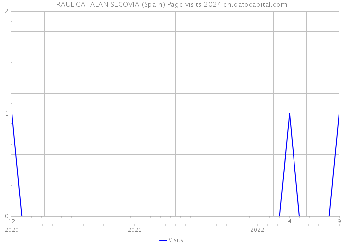 RAUL CATALAN SEGOVIA (Spain) Page visits 2024 