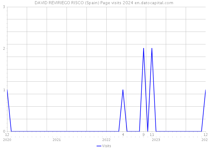 DAVID REVIRIEGO RISCO (Spain) Page visits 2024 