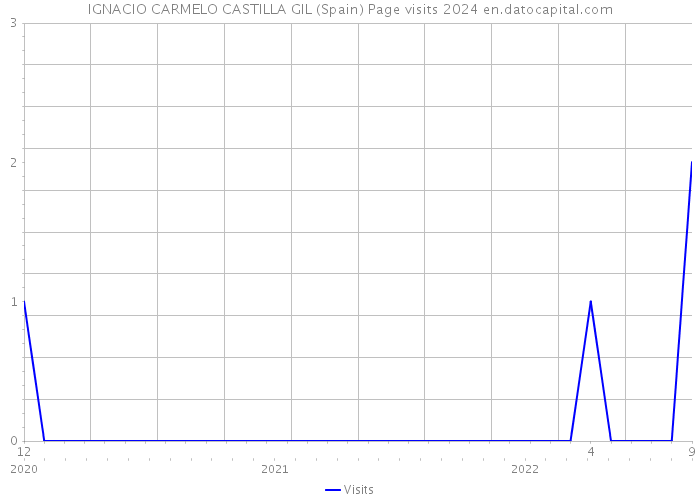 IGNACIO CARMELO CASTILLA GIL (Spain) Page visits 2024 