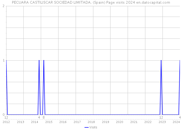 PECUARA CASTILISCAR SOCIEDAD LIMITADA. (Spain) Page visits 2024 