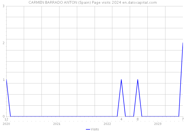 CARMEN BARRADO ANTON (Spain) Page visits 2024 