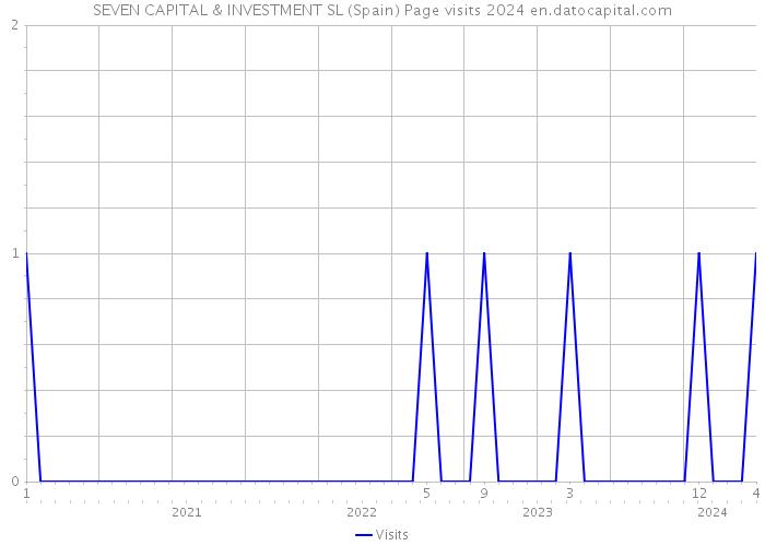 SEVEN CAPITAL & INVESTMENT SL (Spain) Page visits 2024 