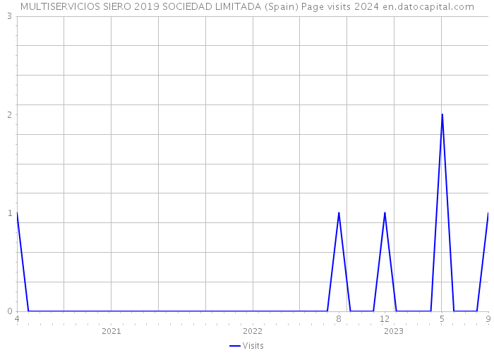 MULTISERVICIOS SIERO 2019 SOCIEDAD LIMITADA (Spain) Page visits 2024 