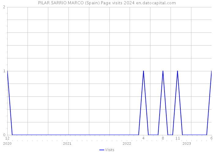 PILAR SARRIO MARCO (Spain) Page visits 2024 