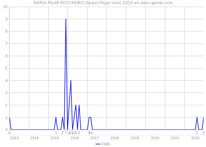 MARIA PILAR RICO MURO (Spain) Page visits 2024 