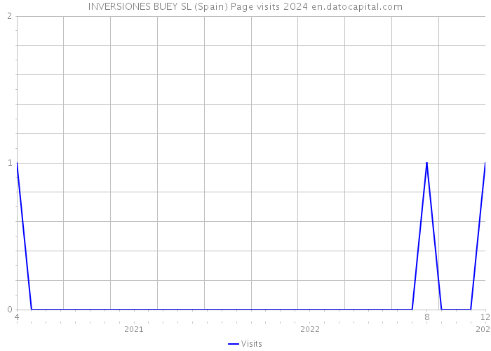 INVERSIONES BUEY SL (Spain) Page visits 2024 