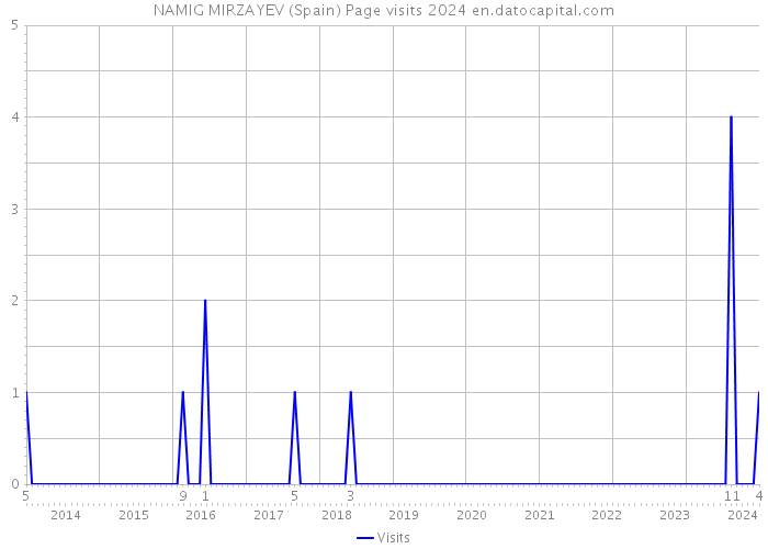 NAMIG MIRZAYEV (Spain) Page visits 2024 