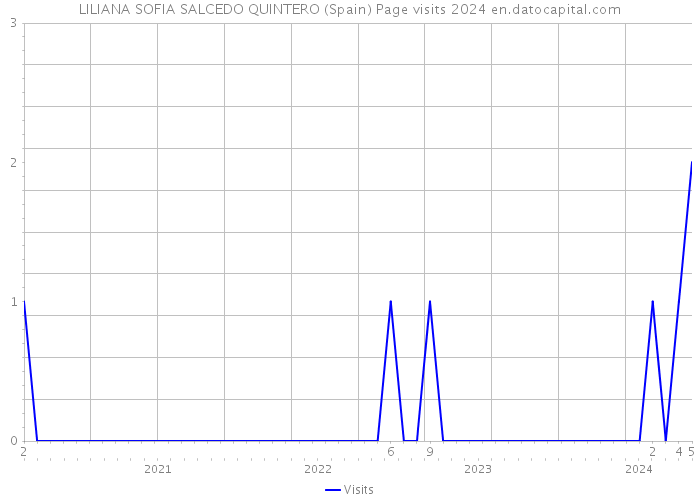 LILIANA SOFIA SALCEDO QUINTERO (Spain) Page visits 2024 