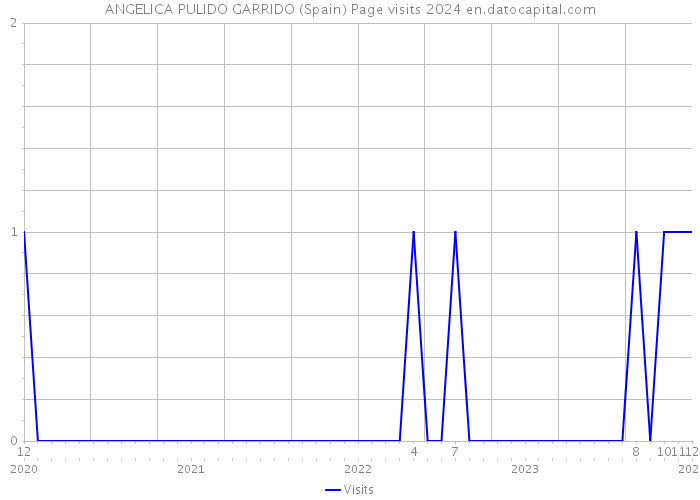 ANGELICA PULIDO GARRIDO (Spain) Page visits 2024 