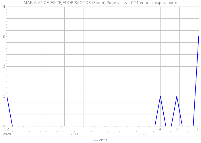 MARIA ANGELES TEJEDOR SANTOS (Spain) Page visits 2024 