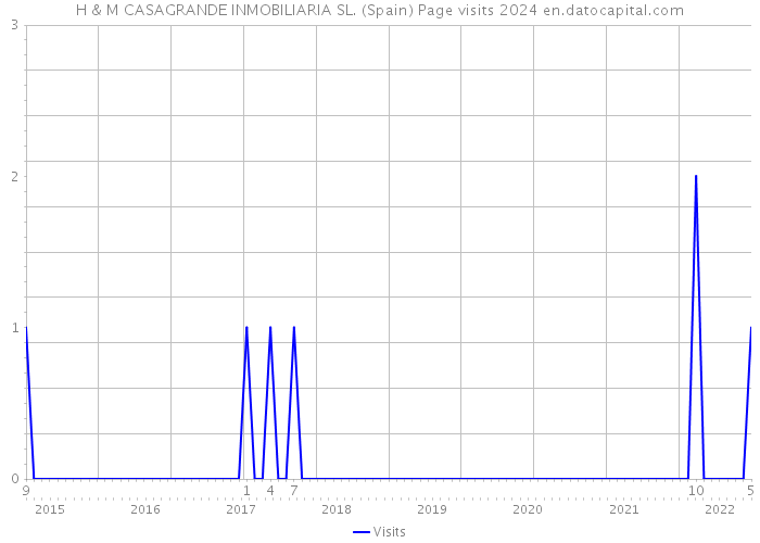 H & M CASAGRANDE INMOBILIARIA SL. (Spain) Page visits 2024 