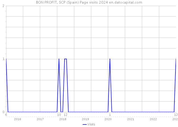 BON PROFIT, SCP (Spain) Page visits 2024 