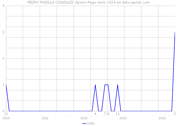 PEDRO PADILLA GONZALEZ (Spain) Page visits 2024 