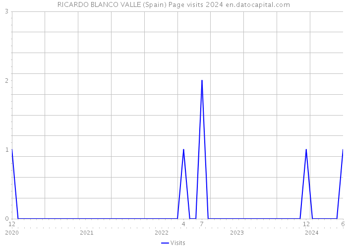 RICARDO BLANCO VALLE (Spain) Page visits 2024 