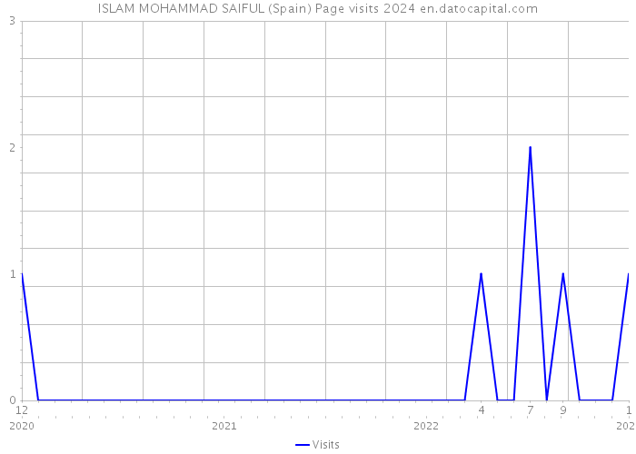 ISLAM MOHAMMAD SAIFUL (Spain) Page visits 2024 