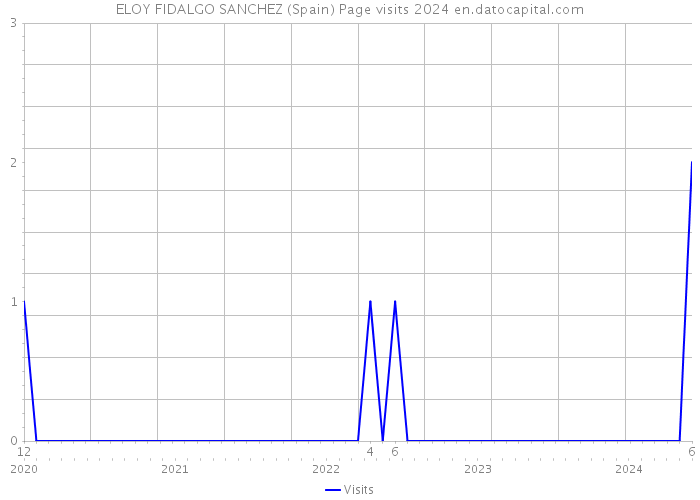 ELOY FIDALGO SANCHEZ (Spain) Page visits 2024 