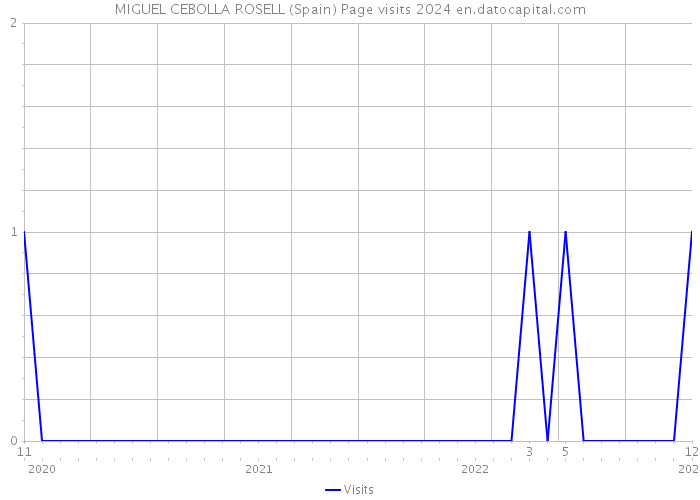 MIGUEL CEBOLLA ROSELL (Spain) Page visits 2024 