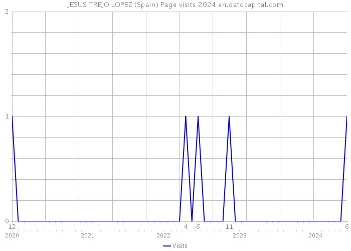 JESUS TREJO LOPEZ (Spain) Page visits 2024 