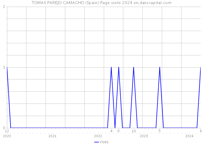 TOMAS PAREJO CAMACHO (Spain) Page visits 2024 